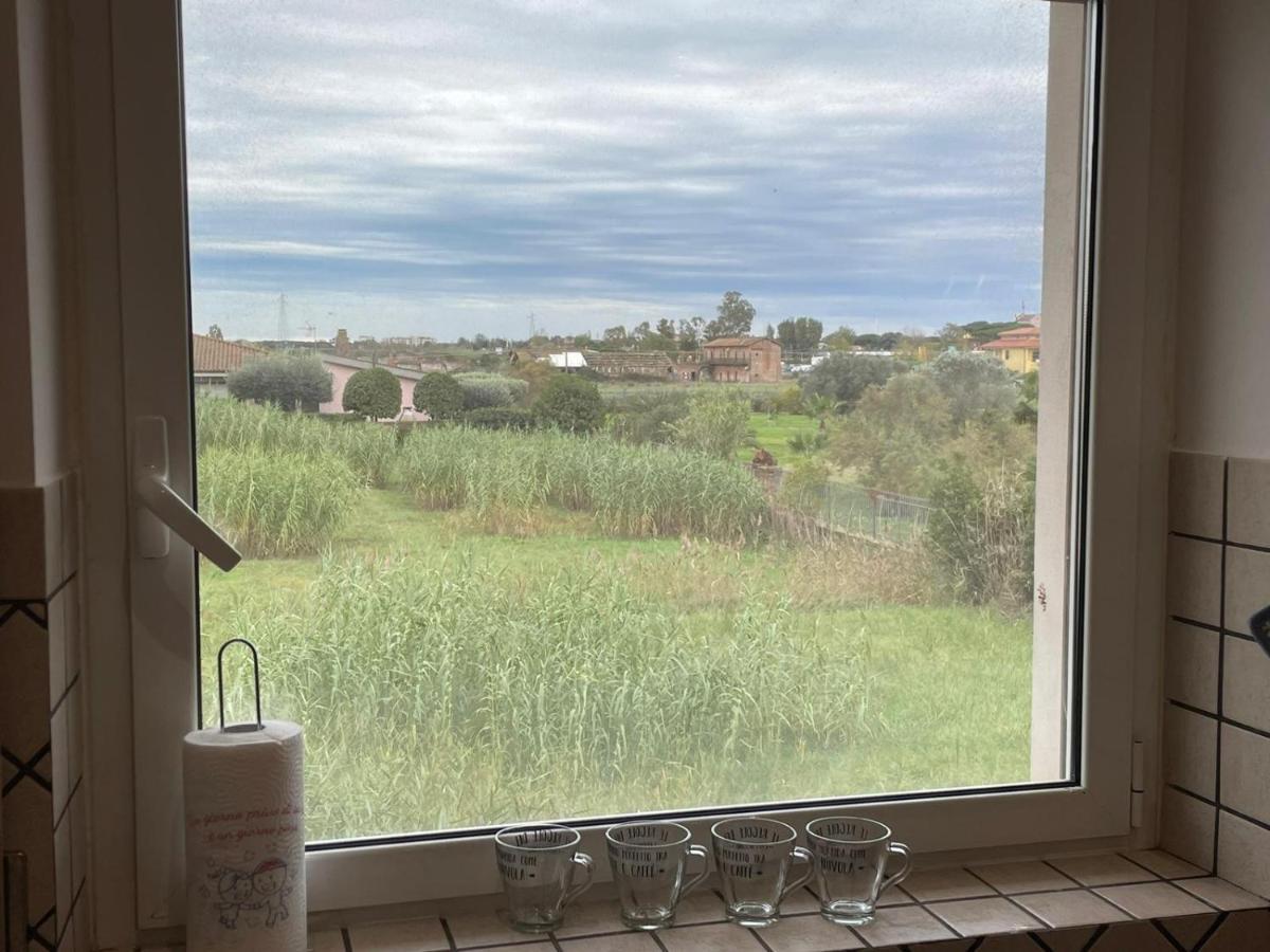 شقة Casa Orchidea فيوميتشينو المظهر الخارجي الصورة
